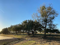 a park with trees and grass in the background