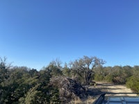 a dirt road with trees and bushes in the background