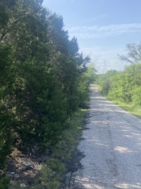 a dirt road surrounded by trees and trees