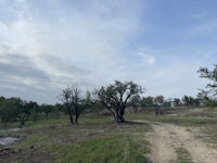 a dirt road in the middle of a field with trees