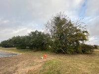 a vacant lot with trees in the middle of the field